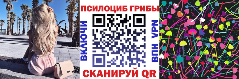 купить наркотики сайты  Цоци-Юрт  Галлюциногенные грибы Psilocybe 